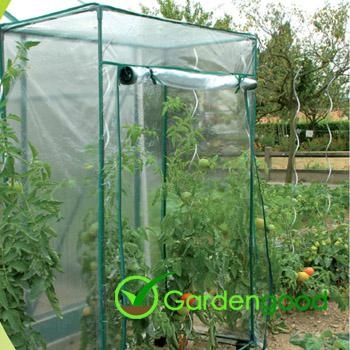 Tomato PVC Greenhouse