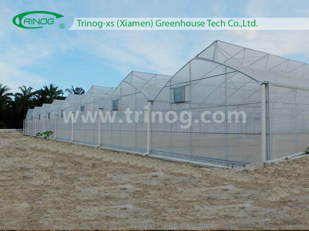 Multispan Agricultural Plastic Greenhouse