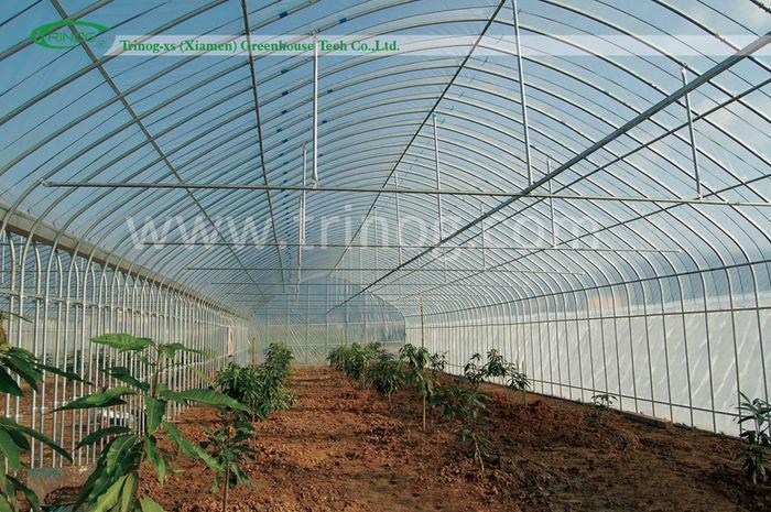 Economical Plastic Vegetables Greenhouse