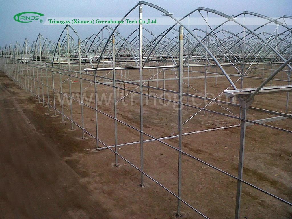 High Modern Multispan Agricultural Plastic Greenhouse