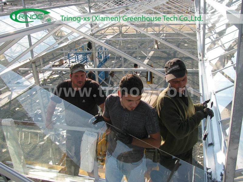 Glass Greenhouse for commercial used
