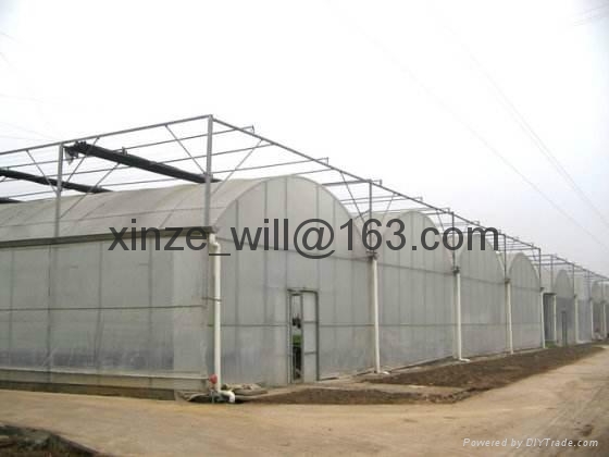 film multi span greenhouse