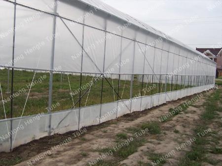 GLW-6 Multi-span Greenhouse