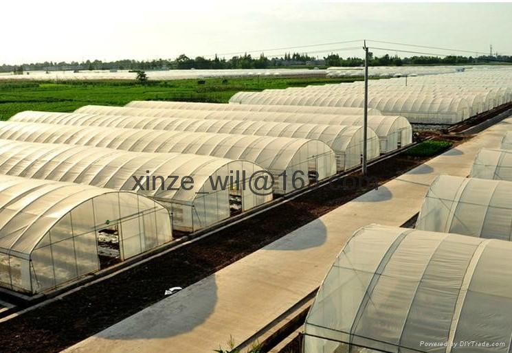 low cost Commercial greenhouse