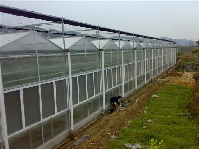 polycarbonate greenhouse good price&high quality
