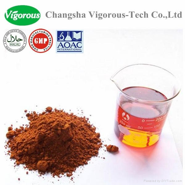 instant tea extract powder/instant black tea extract powder