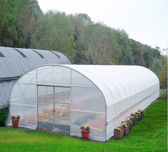 Single-span Agriculture Greenhouse Tunnel Greenhouse
