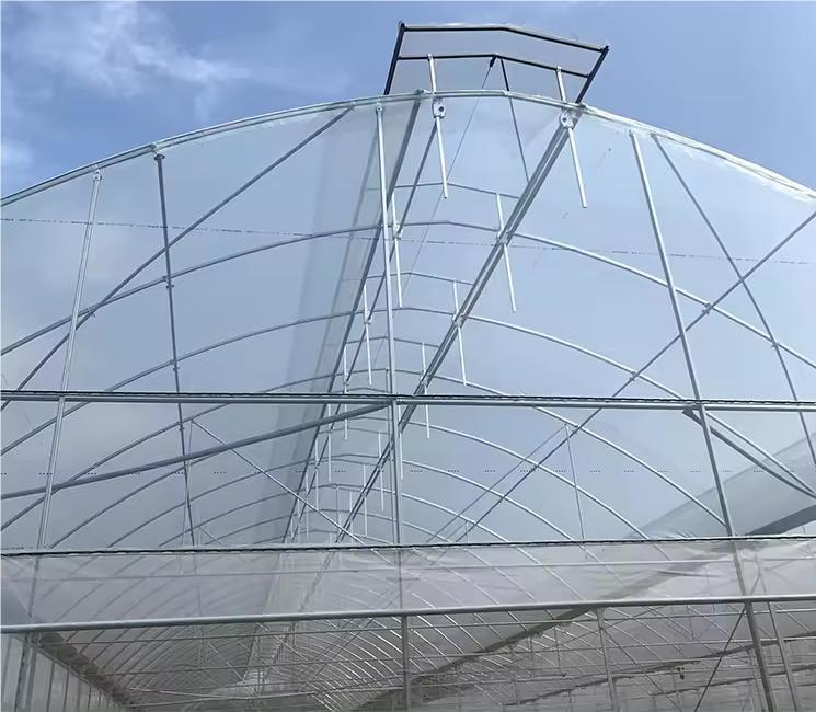 Growing Systems Serre Agricole Large Film Multi-span Agricultural Greenhouses