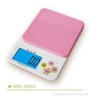 Household scale