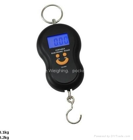 Hang scale 40kg/20g_l   age scale