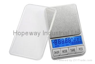 Digital scale with dual display