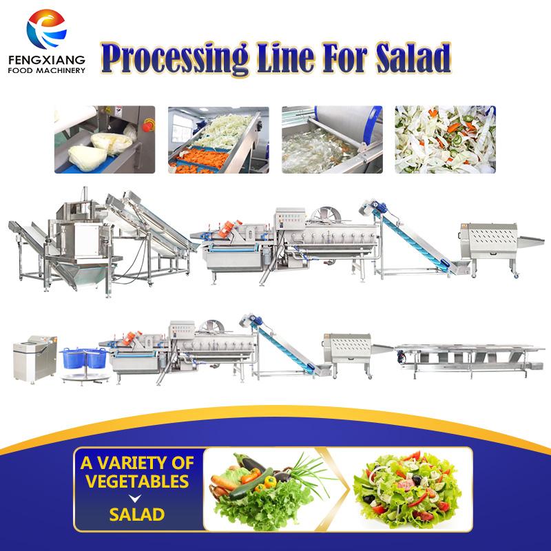 vegetable salad cutting washing drying machines processing line wholesale