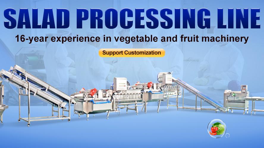 Vegetable Salad Processing Line Fruit And Vegetable Cutting Washing Machine