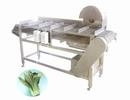 Vegetables cutting root machine
