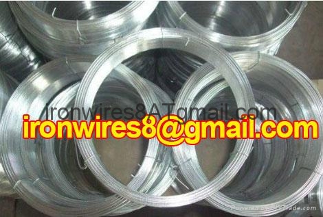 Best quality Hot Dipped Galvanized Wire