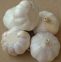 cross garlic